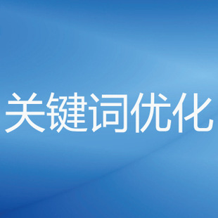 seo是seo搜索引擎优化内seo_seo站内关键词优化_关键字怎么优化搜行者seo